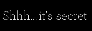 Shhh... Blogging